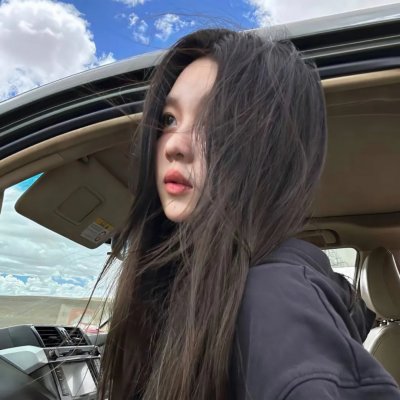 驯龙高手番外篇:龙的礼物